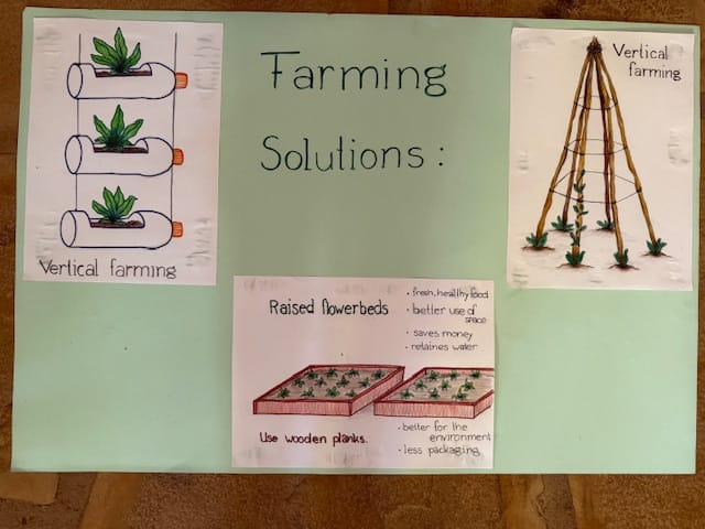 Eco Schools Collaboration